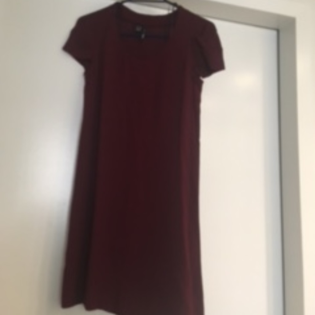 Mango Dress